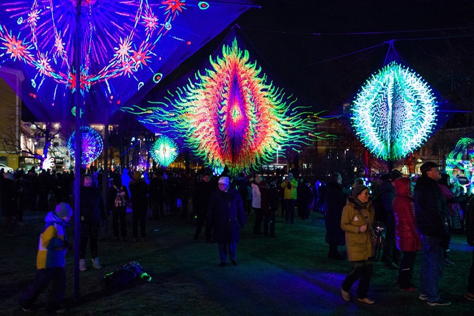Lumo Festival exceeded all expectations